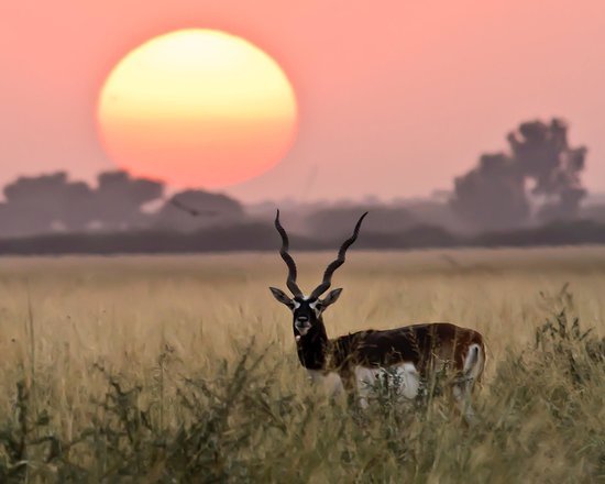 sun-setting-over-tal
